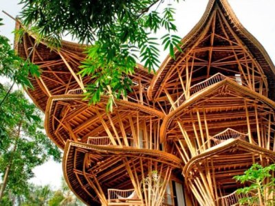 Elora Hardy and Bamboo&nbsp;Home