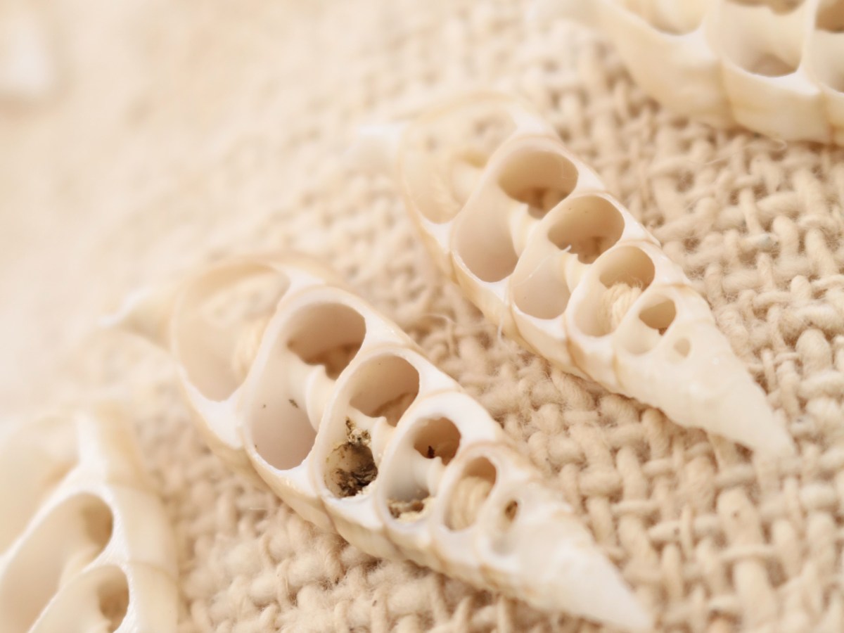 Why We Love Boho&nbsp;Pillows