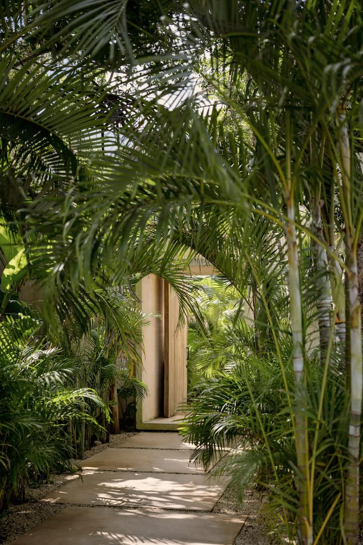 Pintu Masuk Areca Palm