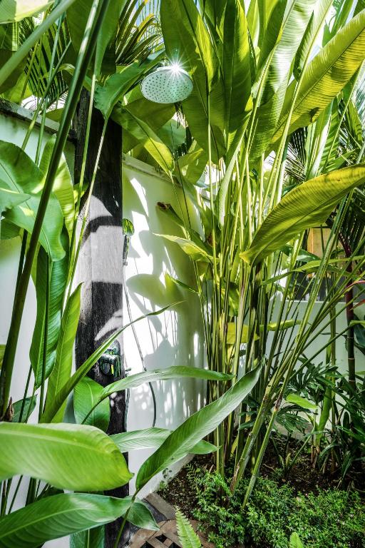 Kebun di luar Villa Arroyo by BaliSuperHost